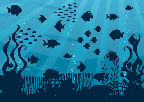 해저 만화 풍경 - great barrier reef stock illustrations