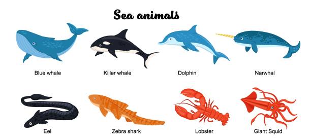 해저 주민 세트 - 전기뱀장어 stock illustrations
