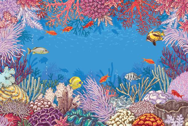 mercan ve balıklar ile sualtı arka plan - great barrier reef stock illustrations