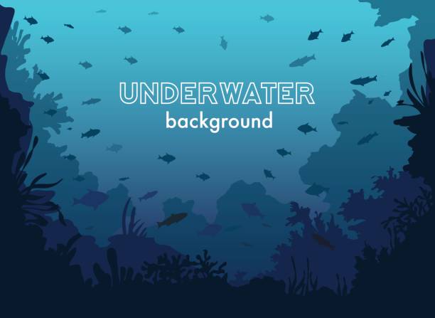 illustrations, cliparts, dessins animés et icônes de fond sous-marin avec des plantes de mer et poissons et coraux - fond marin