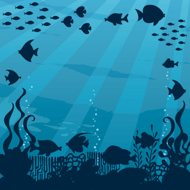 podwodny krajobraz kreskówek - great barrier reef stock illustrations