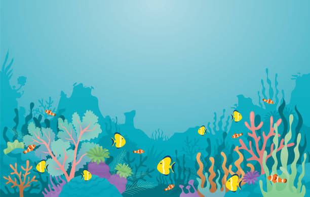 Underwater, Coral Reef, Sea Anemone and Fish Background vector art illustration