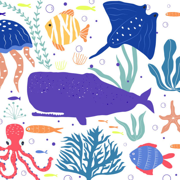 Underwater creatures fish, jellyfish, octopus, clownfish, seaplants...