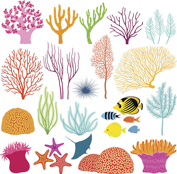 Underwater design elements Set of colorful underwater design elements reef stock illustrations