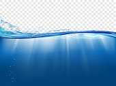 Underwater landscape with sunbeams. Water surface. Isolated on a transparent background. Vector illustration.