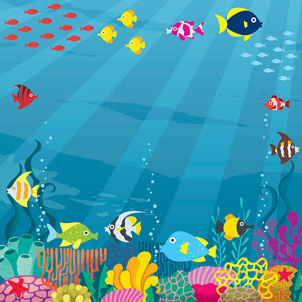 podwodny - great barrier reef stock illustrations