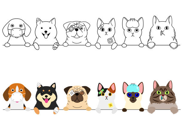 illustrazioni stock, clip art, cartoni animati e icone di tendenza di infelice malato cani e gatti confine - allevatore