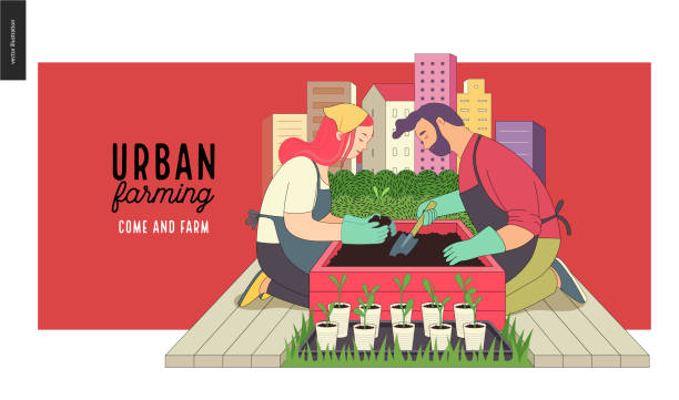 Urban farming and gardening Urban farming, gardening or agriculture. A man and a woman planting out the sprouts to the wooden package bed with a city tower buildings on the background urban garden stock illustrations