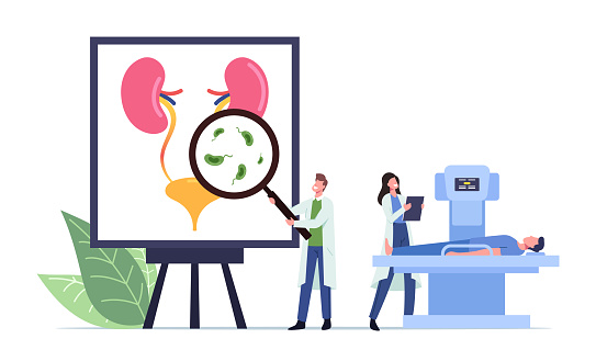 Urinary Tract Infection, UTI Medical Concept with Tiny Doctors and Sick Patient on Mri Characters at Huge Anatomical Poster with Urinal Organs Bladder and Kidneys. Cartoon People Vector Illustration