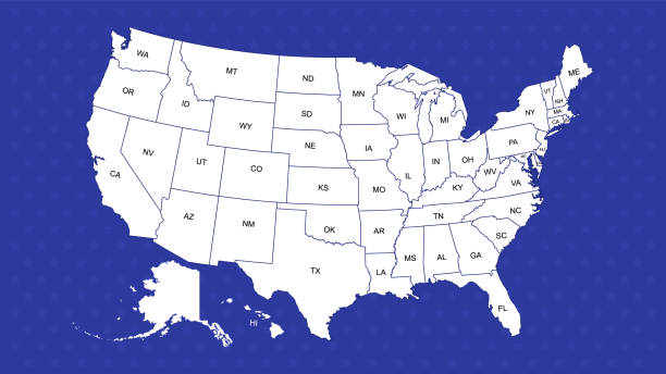 Usa states map. Infographic USA map with white states. Vector template, basic design. Usa states map. Infographic USA map with white states. Vector template, basic design. united states map stock illustrations