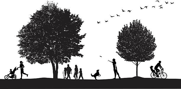 Utopia People enjoy various activities in the park such as cycling, running, walking, and playing with their dog. frisbee stock illustrations