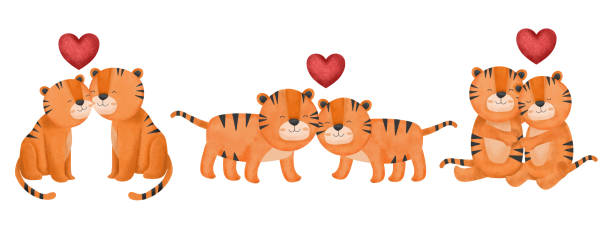Valentines Day vector illustration. Three cute couple tigers on white background with many hearts vector art illustration