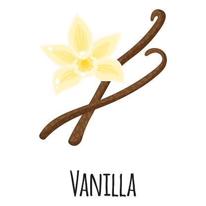 Vanilla superfood spice for template farmer market design, label and packing. Natural energy protein organic food.