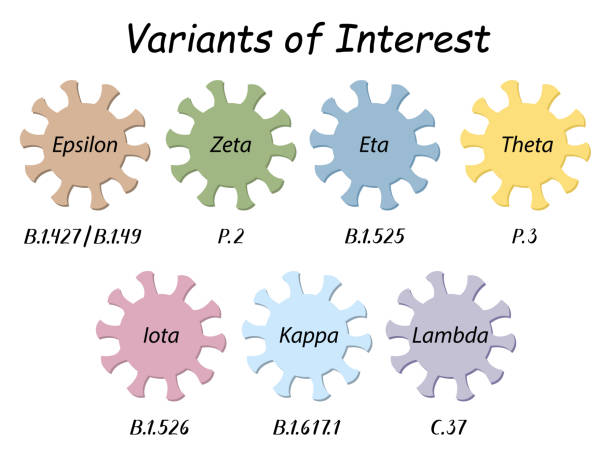 Variants of Interest. Coronavirus icons with WHO variant names from the Greek alphabet: Epsilon, Zeta, Eta, Theta, Iota, Kappa and Lambda. Below are handwritten scientific labels with the numbers (Pango lineage). WHO label - Pango lineage: Epsilon - B.1.427/B.1.429, Zeta - P.2, Eta - B.1.525, Theta - P.3, Iota - B.1.526, Kappa - B.1.617.1, Lambda - C.37. covid variant stock illustrations