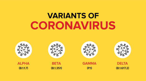 코로나바이러스/코비드-19의 변이체 또는 돌연변이 또는 유형. - 돌연성 급성호흡기증후군 stock illustrations