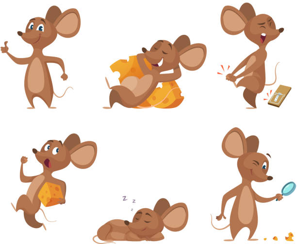 Various characters of mice in action poses Various characters of mice in action poses. Mouse animal, rat rodent cheerful with cheese, vector illustration mouse animal stock illustrations
