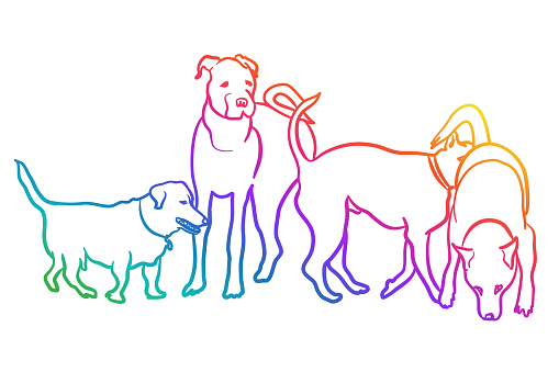 Various Dog Breeds Rainbow