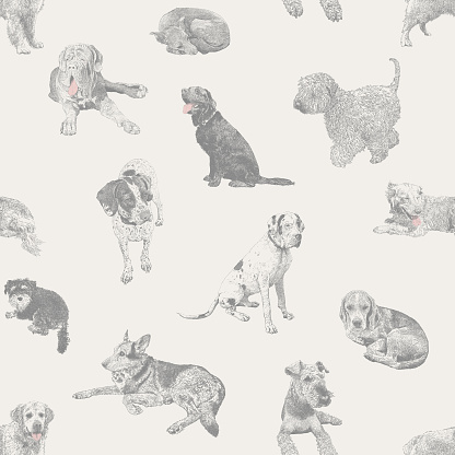 Various Dogs Pets Seamless Repeat Pattern