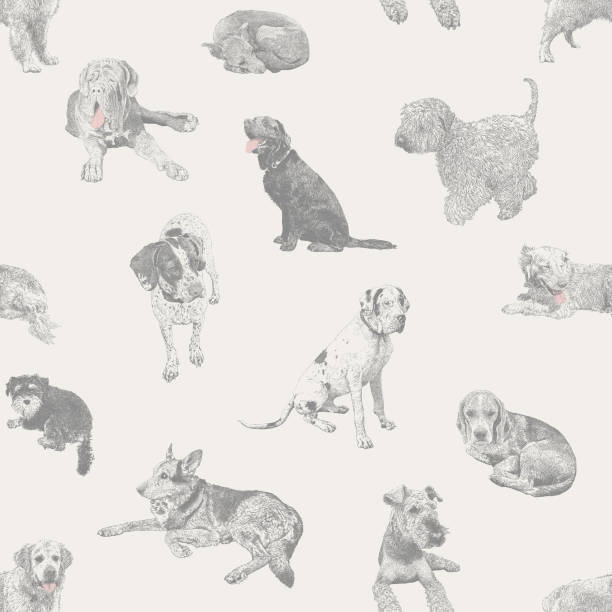 ilustrações de stock, clip art, desenhos animados e ícones de various dogs pets seamless repeat pattern - golden retriever