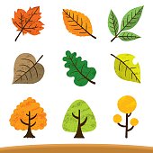 It is an illustration of leaves of various colors and shapes.