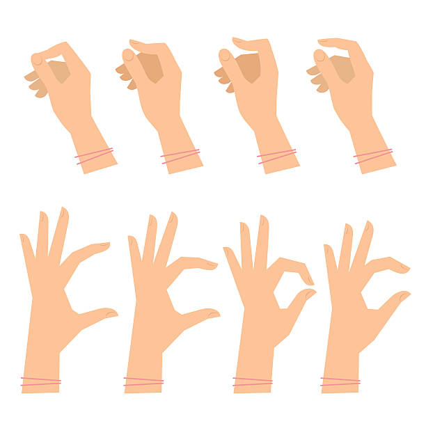illustrazioni stock, clip art, cartoni animati e icone di tendenza di vari gesti di mani femminili su uno sfondo bianco. - pizzicotti
