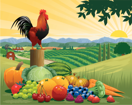 Various harvested fruits and vegetables with rooster on post