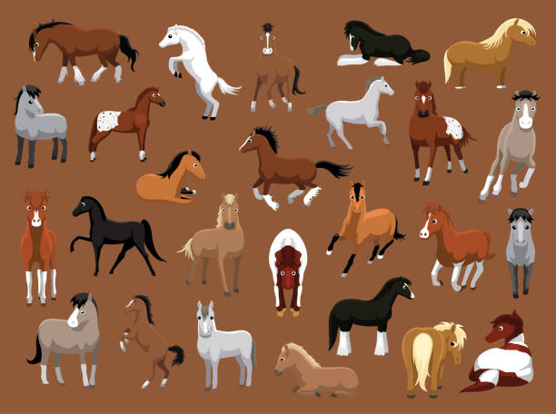 bildbanksillustrationer, clip art samt tecknat material och ikoner med olika häst poser tecknade vektorillustration - shirehäst