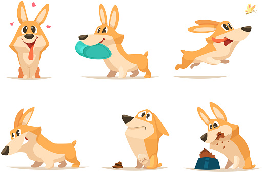 Various illustrations of funny little dog in action poses