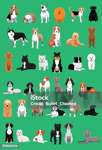 istock Various Medium Size Dog Breeds Cartoon Vector Illustration 910061414