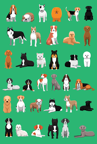 Various Medium Size Dog Breeds Cartoon Vector Illustration