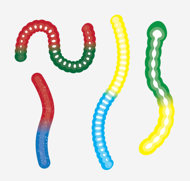различные типы gummy червь вектор иллюстрация - gummy snake stock illustrat...