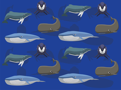 様々なクジラ種ベクトルシームレス背景壁紙01 イラストレーションのベクターアート素材や画像を多数ご用意 Istock