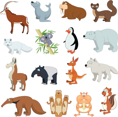 Various Wildlife Animals set