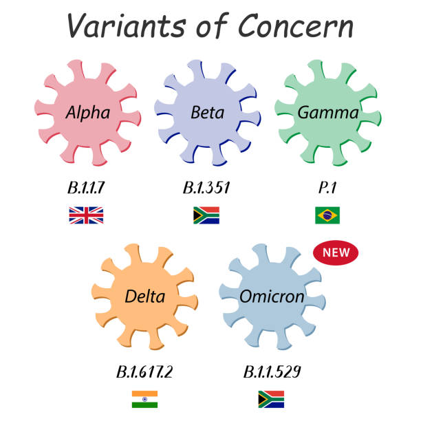 vatiants of concern (26.11.2021). coronavirus icons with who variant names from the greek alphabet: alpha, beta, gamma, delta and omicron. below are scientific labels with the numbers and flags of the countries where they were first found. - omikron stock illustrations