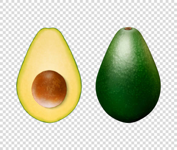 stockillustraties, clipart, cartoons en iconen met vector 3d realistische hele en halve avocado met zaad close-up geïsoleerd op transparante achtergrond. ontwerpsjabloon, voedsel, gezondheid, dieet concept. voor-of bovenaanzicht - vegan keto