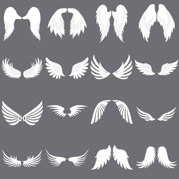Vector Angel Wing logo set. Winged logo company. Set of Cute Angel Wing. Wing flying. vector art illustration