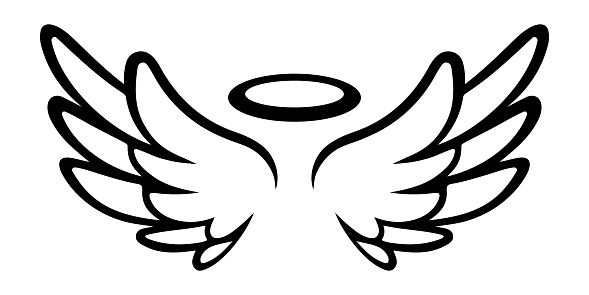 Vector Angel Wings and Halo on White Background