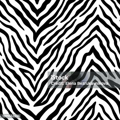 istock Vector animal pattern with zebra skin. Monochrome seamless pattern with dense stripes. Black and white tiger skin texture. 1399553226