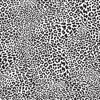 Vector animalistic seamless pattern from leopard skin spots. Trendy black and white background