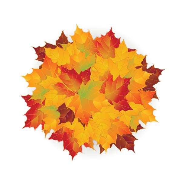 Fall Leaf Pile Clip Art