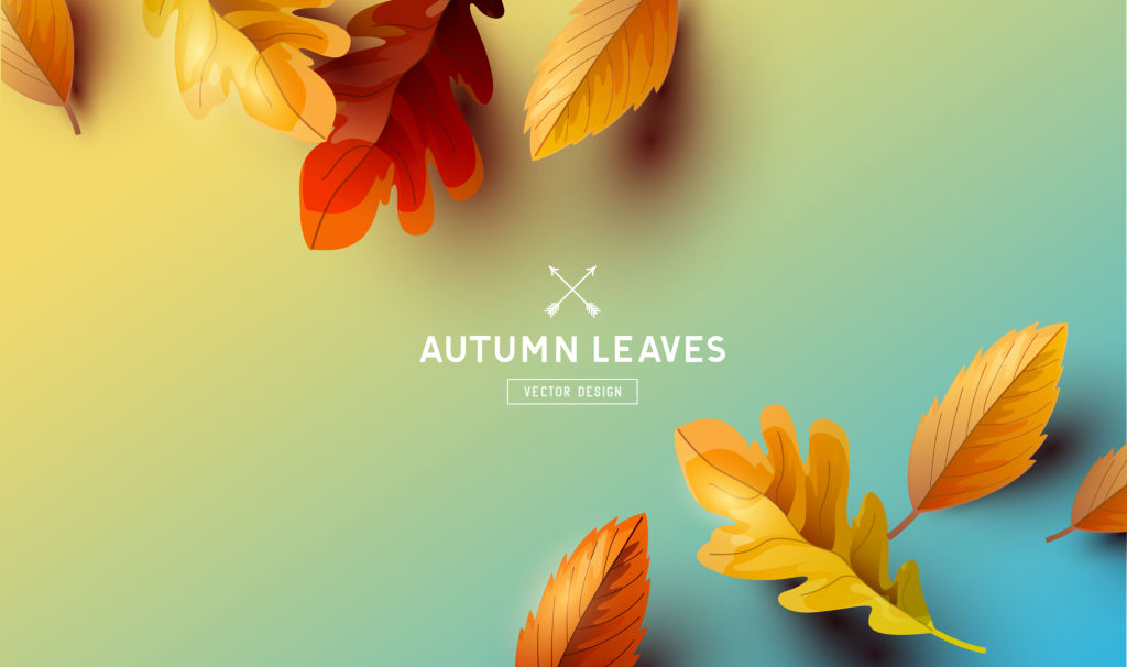 Autumn season background with falling autumn leaves and room for text. Vector illustration
