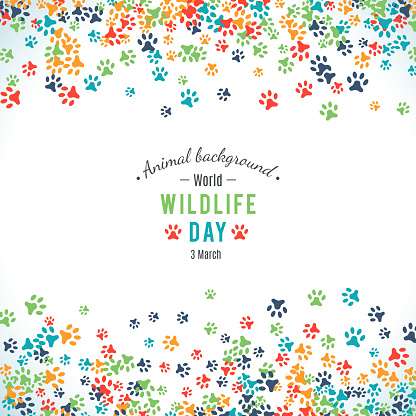 Vector background of world wildlife day