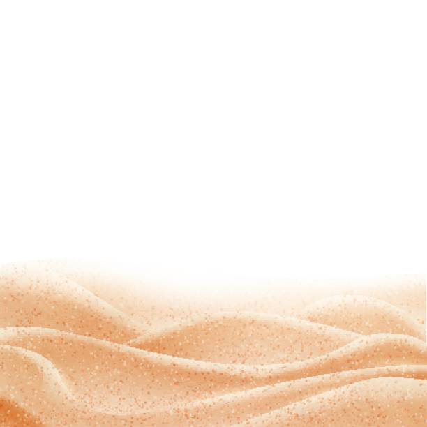 Vector background with sand border Sand dunes isolated on white background. Vector illustration. beach borders stock illustrations