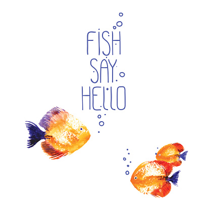 Vector background with watercolor discus fish