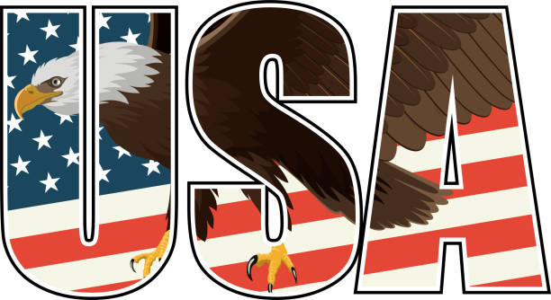 vector Bald Eagle on US flag illustration vector Bald Eagle on US flag illustration bills patriots stock illustrations