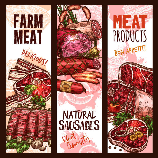 stockillustraties, clipart, cartoons en iconen met banner schets slagerij winkel vlees vectorproduct - chorizo