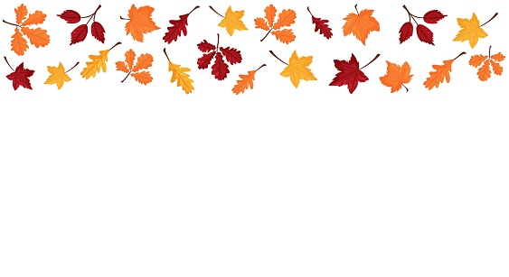 Vector banner with colorful autumn leaves.