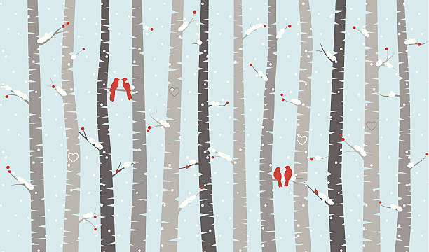 Vector Birch or Aspen Trees with Snow and Love Birds Vector Birch or Aspen Trees with Snow and Love Birds. No transparencies or gradients used. Large JPG included. Each element is individually grouped for easy editing. cardinals stock illustrations