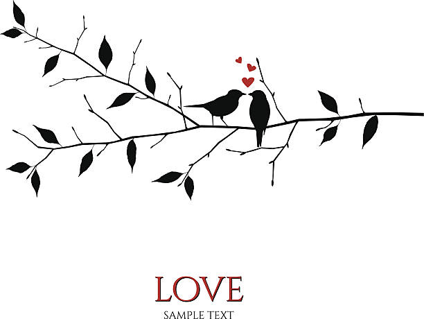 vector birds on branch - love and romance concept vector birds on branch - love and romance concept bird drawings stock illustrations
