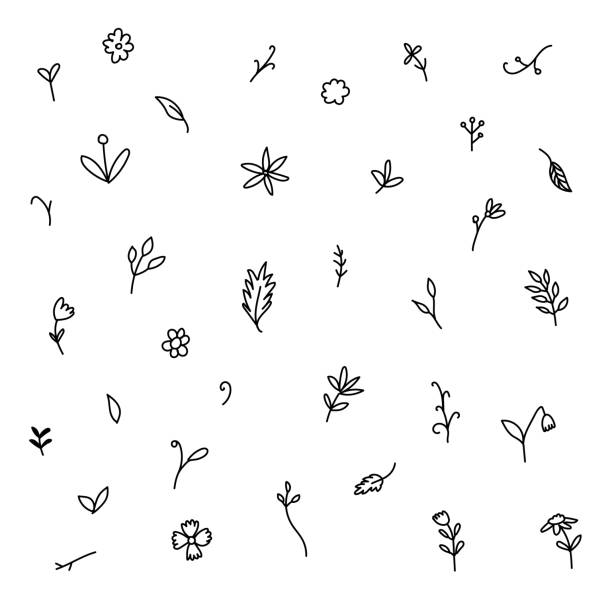 illustrations, cliparts, dessins animés et icônes de vectoriel noir et blanc icône ensemble de plantes - légume volant